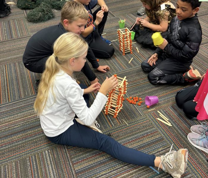 573043257_122155404182744031_606087604826886124_n