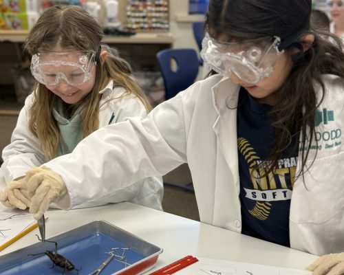 thumb-8e4b468824f5e9adbfb080990e219912