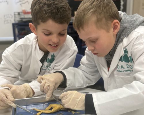 thumb-df6c398699add2b0173dcb530726c10a